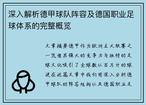 深入解析德甲球队阵容及德国职业足球体系的完整概览
