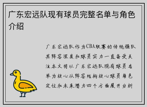 广东宏远队现有球员完整名单与角色介绍
