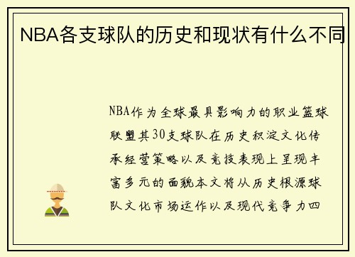 NBA各支球队的历史和现状有什么不同